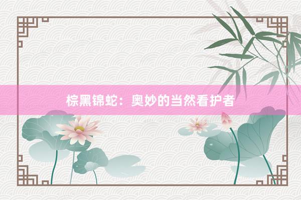 棕黑锦蛇：奥妙的当然看护者